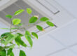Ficus green leaves on the background ofceiling air conditioner in modenr office or at home. Indoor air quality concept